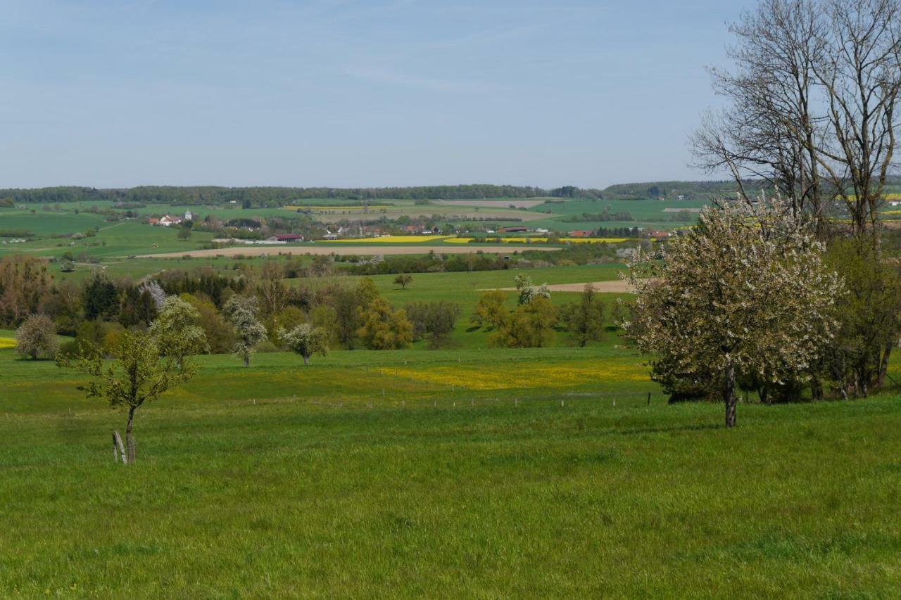 Eulennest, Haus Vogelgesang Apartman Gersheim Kültér fotó